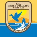 us fish and wild